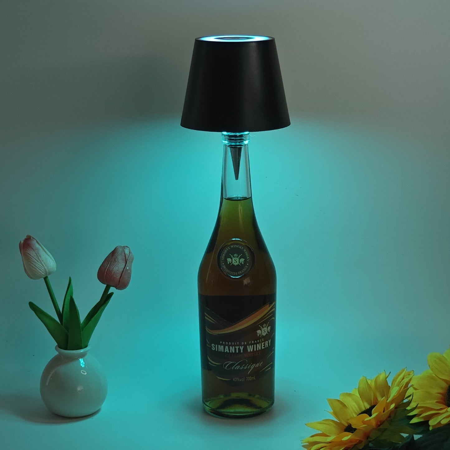 LED Creative Wine Bottle Light